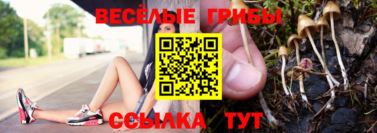 Ирбит  Галлюциногенные грибы мухоморы  Вход с VPN 