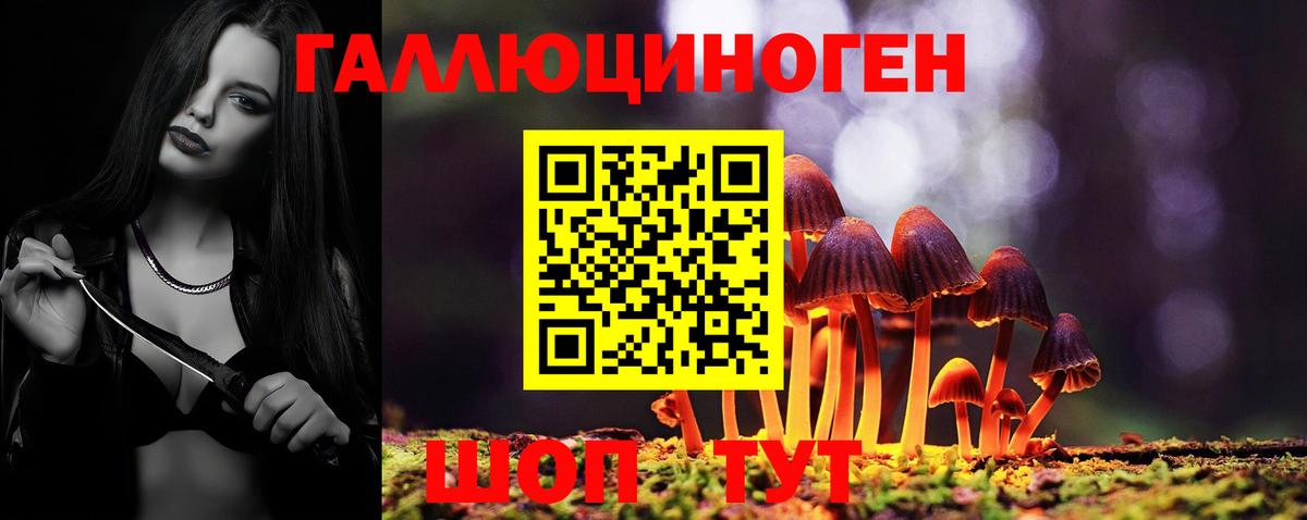 Псилоцибиновые грибы GOLDEN TEACHER Ирбит